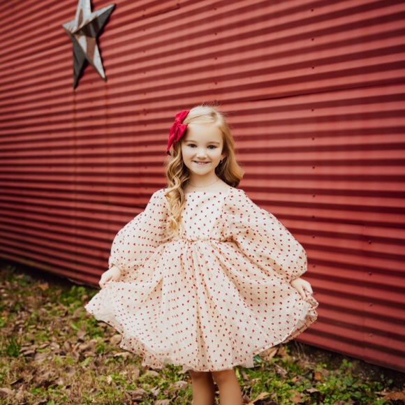 Cora & Violet handmade dress. size 4-6T - Picture 7 of 8